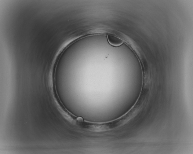 X0000111250795200907021430