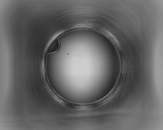 X0000111250796200907021430