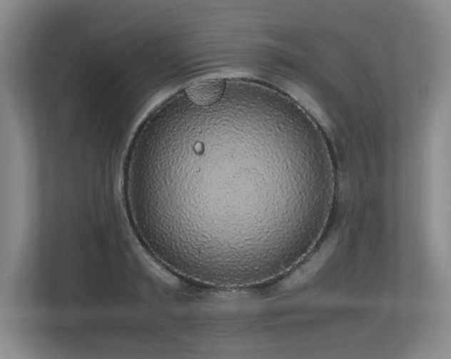 X0000111250797200907021430