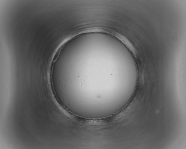 X0000111250805200907021430