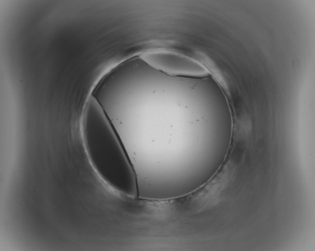 X0000111250813200907021430