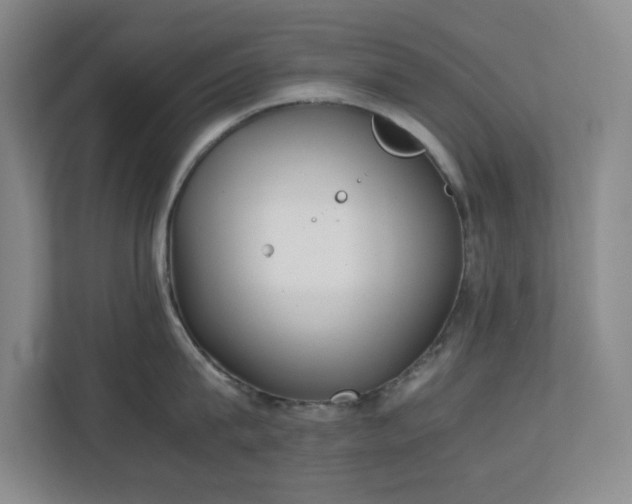 X0000111250815200907021430