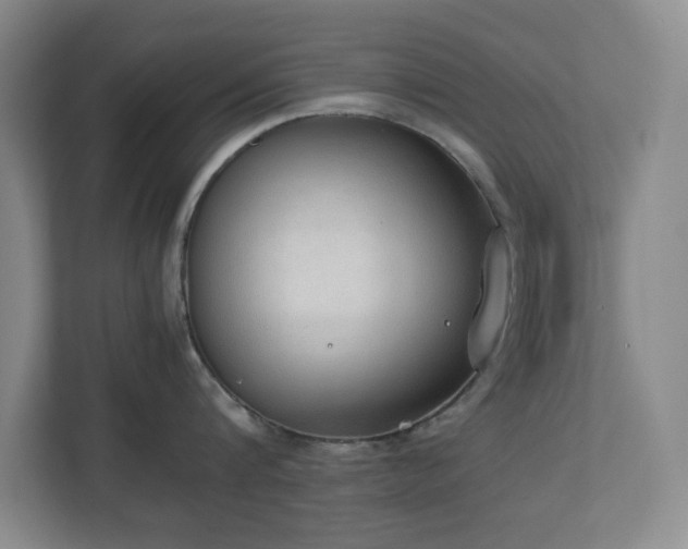 X0000111250816200907021430