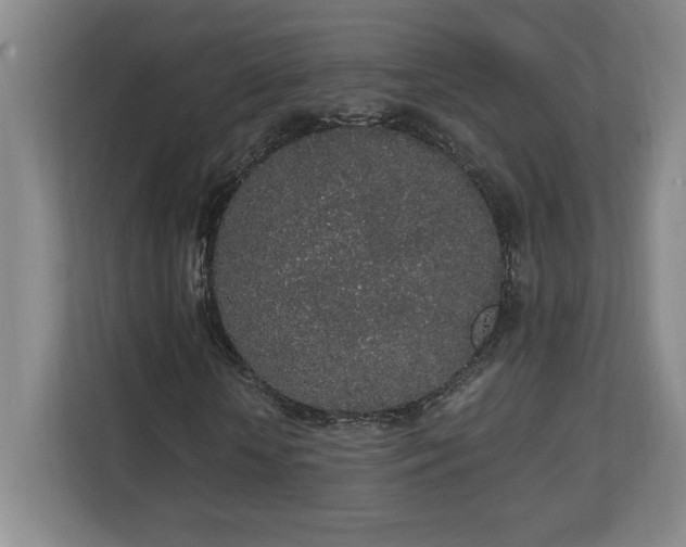 X0000111250818200907021429