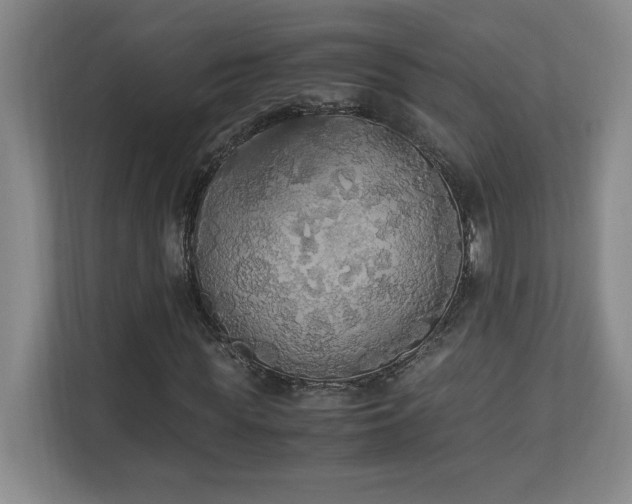 X0000111250819200907021429