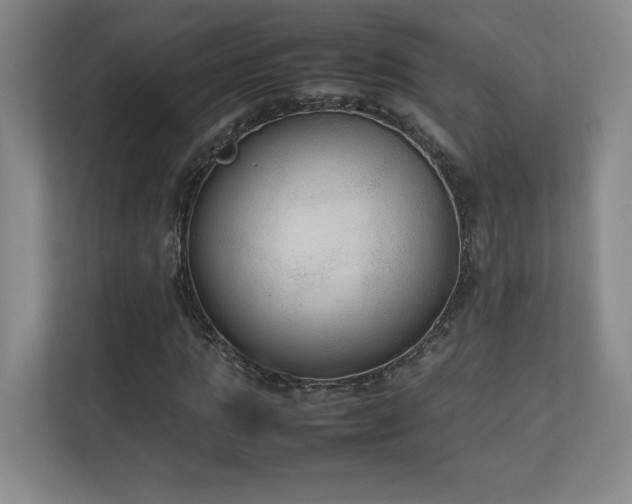 X0000111250821200907021429