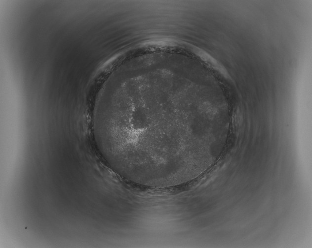 X0000111250822200907021429
