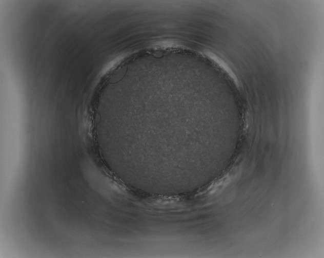 X0000111250823200907021429