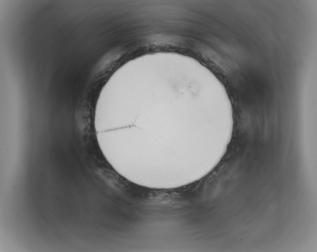 X0000111250824200907021429