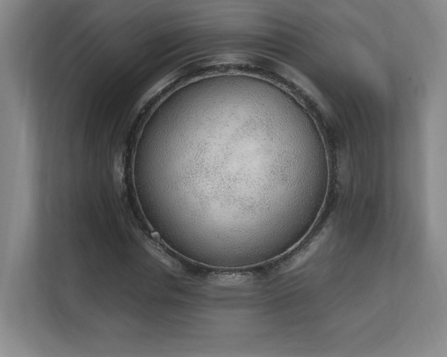 X0000111250826200907021429