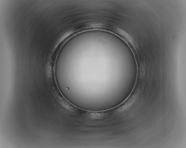 X0000111250827200907021429