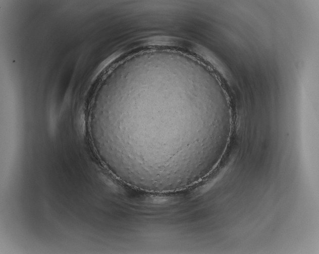 X0000111250829200907021429