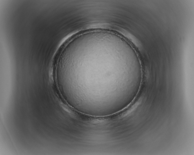 X0000111250830200907021429