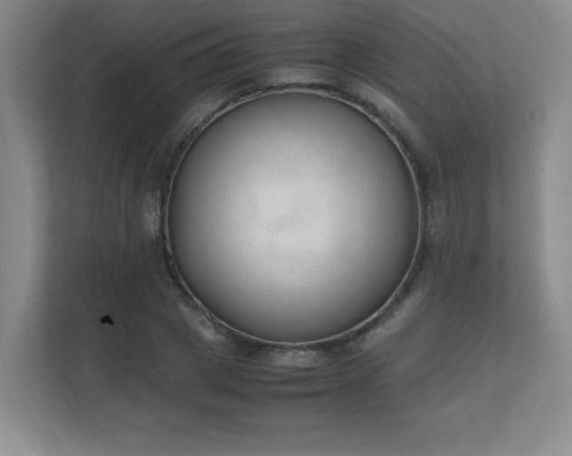X0000111250833200907021429