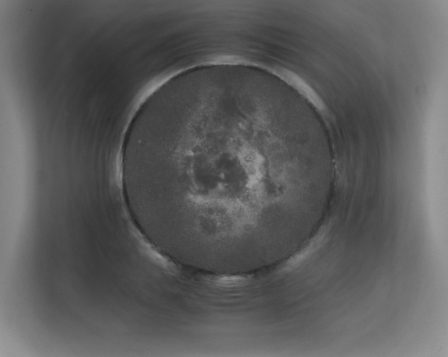 X0000111250839200907021429