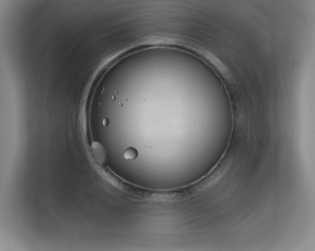 X0000111250840200907021429
