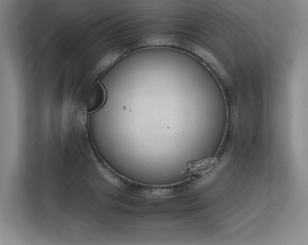 X0000111250841200907021429