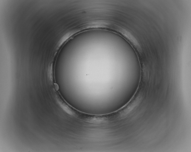 X0000111250842200907021429