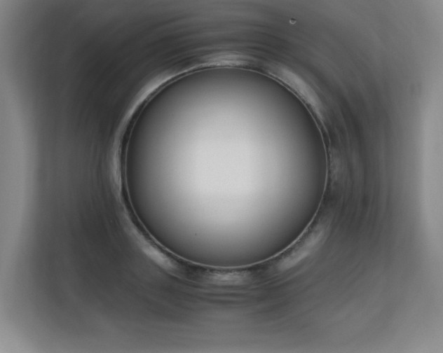 X0000111250843200907021429