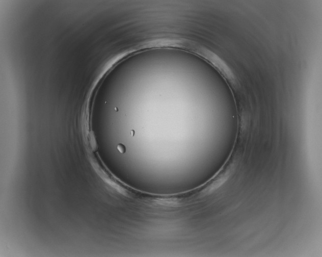 X0000111250844200907021429