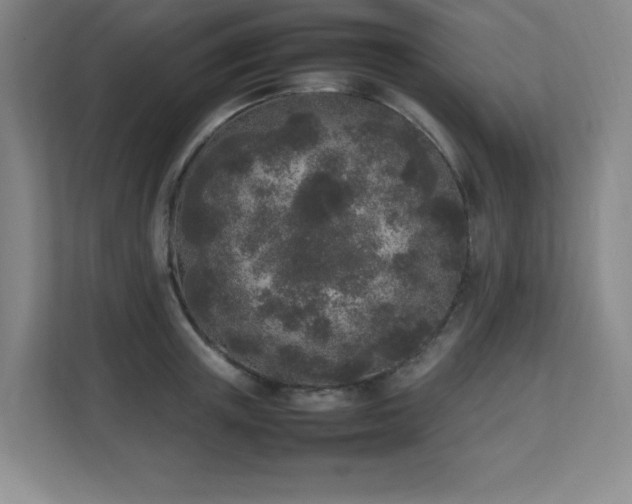 X0000111250851200907021430