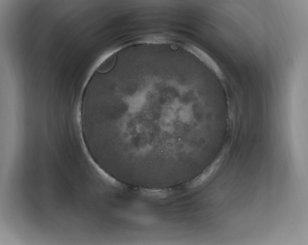 X0000111250855200907021430