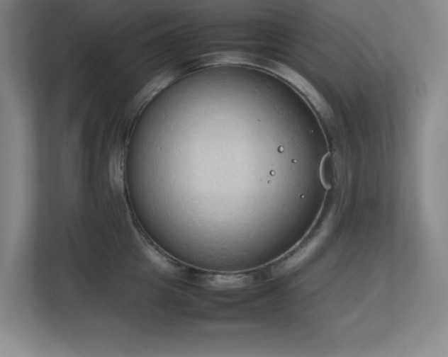 X0000111250857200907021430