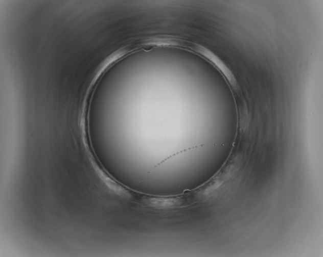 X0000111250861200907021430