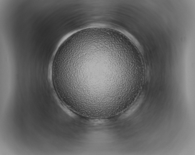 X0000111250862200907021430