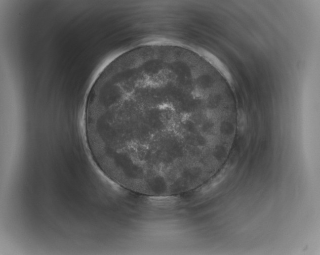X0000111250863200907021430