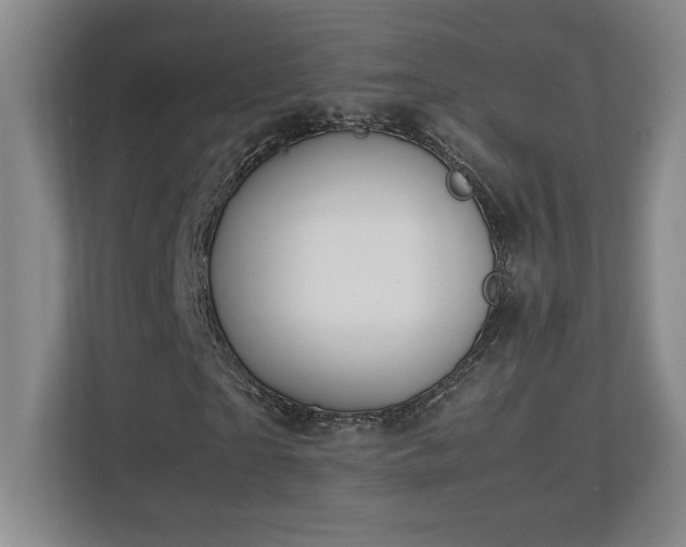 X0000111250865200907021429