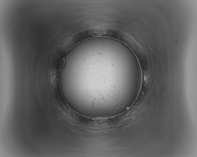 X0000111250867200907021429