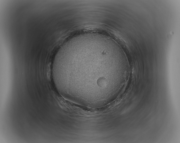 X0000111250868200907021429