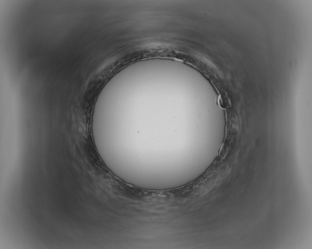 X0000111250869200907021429