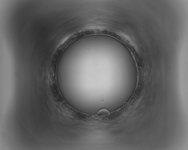 X0000111250871200907021429