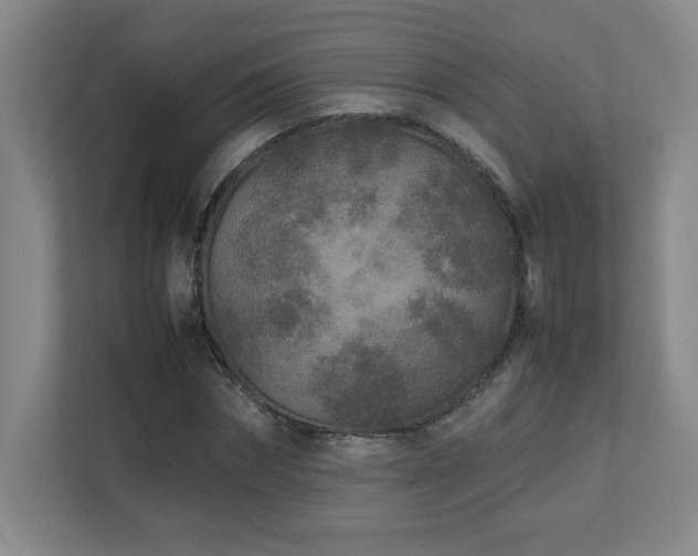 X0000111250874200907021429