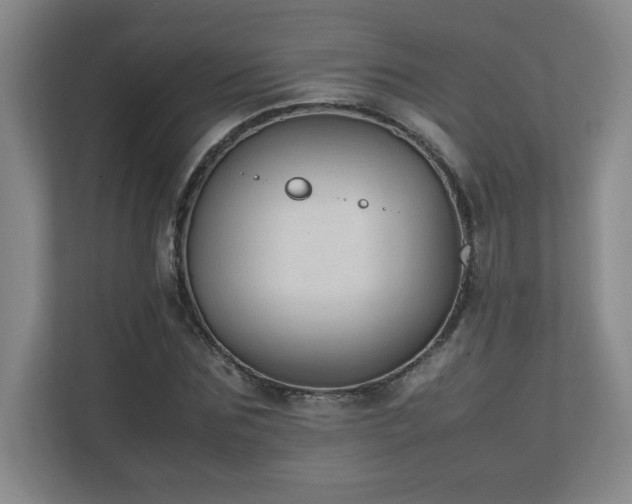 X0000111250875200907021429