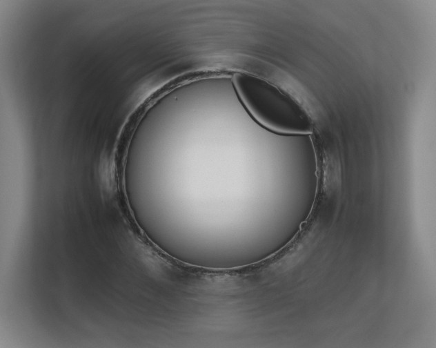 X0000111250876200907021429
