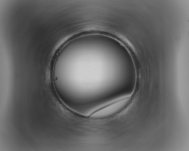 X0000111250877200907021429