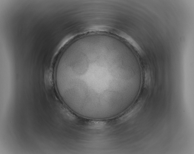 X0000111250878200907021429
