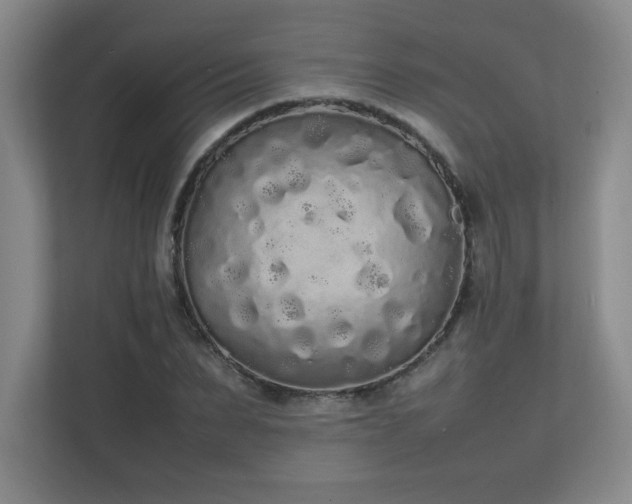 X0000111250879200907021429