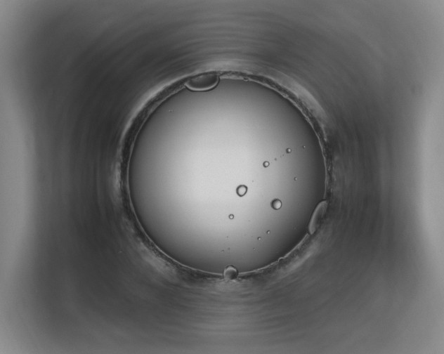 X0000111250880200907021429