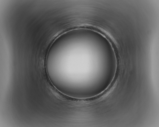 X0000111250881200907021429