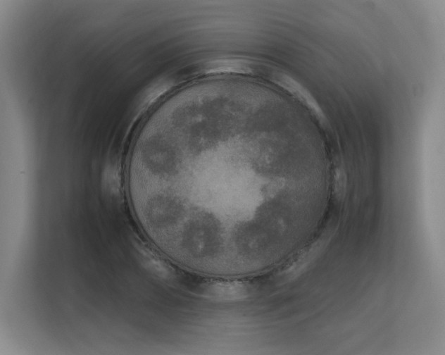 X0000111250882200907021429