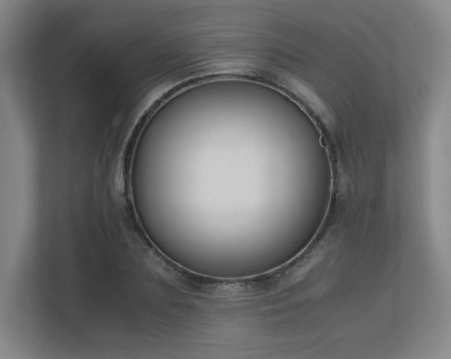X0000111250883200907021429