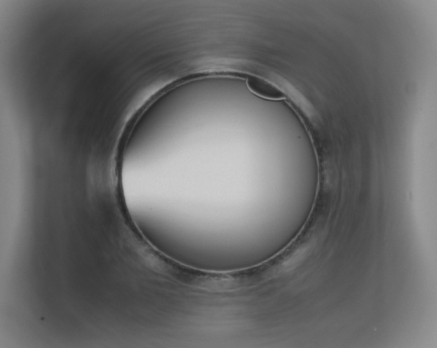X0000111250885200907021429