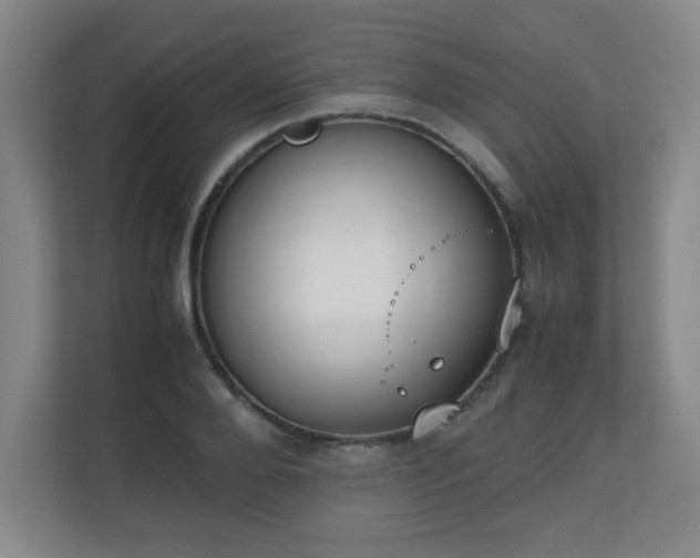 X0000111250888200907021429