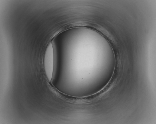 X0000111250889200907021429