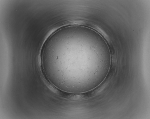 X0000111250891200907021429