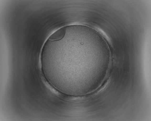 X0000111250892200907021429